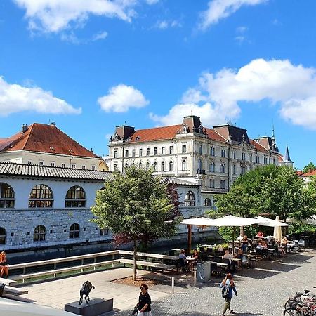 Petkovsek Rooms And Apartments Ljubljana Kültér fotó