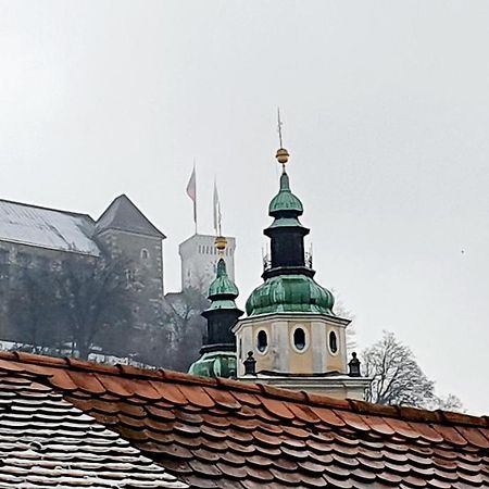 Petkovsek Rooms And Apartments Ljubljana Kültér fotó
