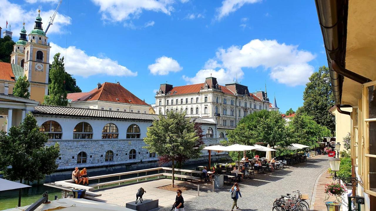 Petkovsek Rooms And Apartments Ljubljana Kültér fotó