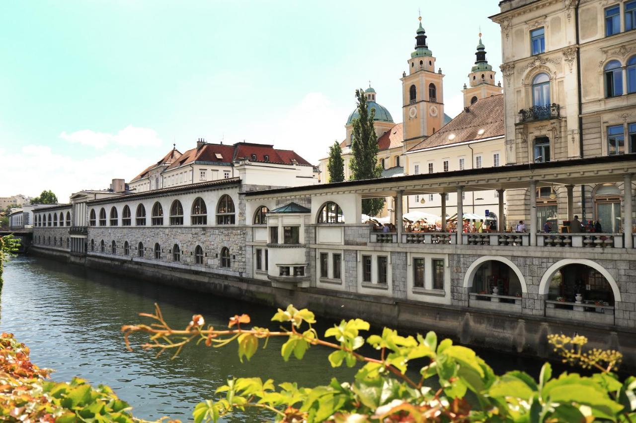 Petkovsek Rooms And Apartments Ljubljana Kültér fotó