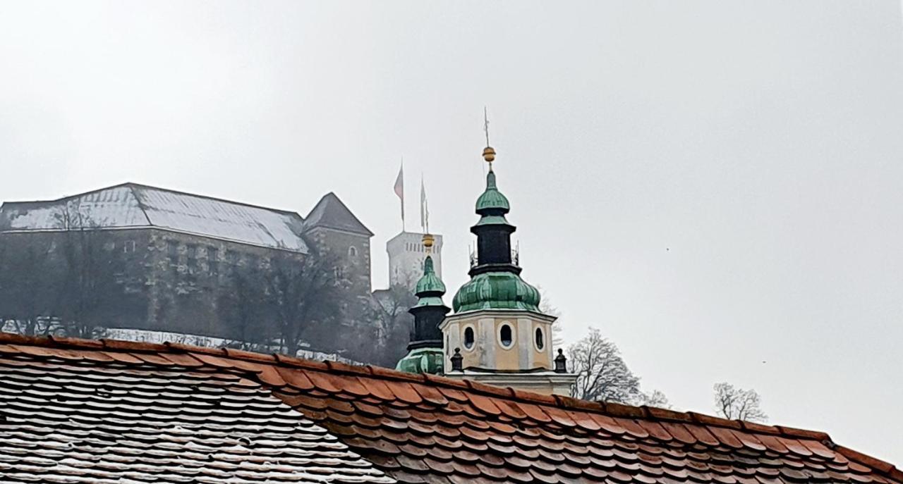 Petkovsek Rooms And Apartments Ljubljana Kültér fotó