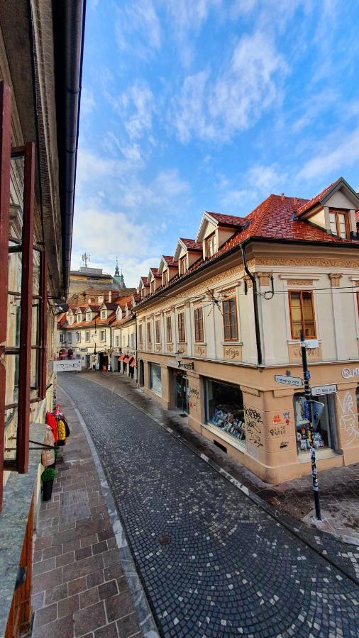Petkovsek Rooms And Apartments Ljubljana Kültér fotó